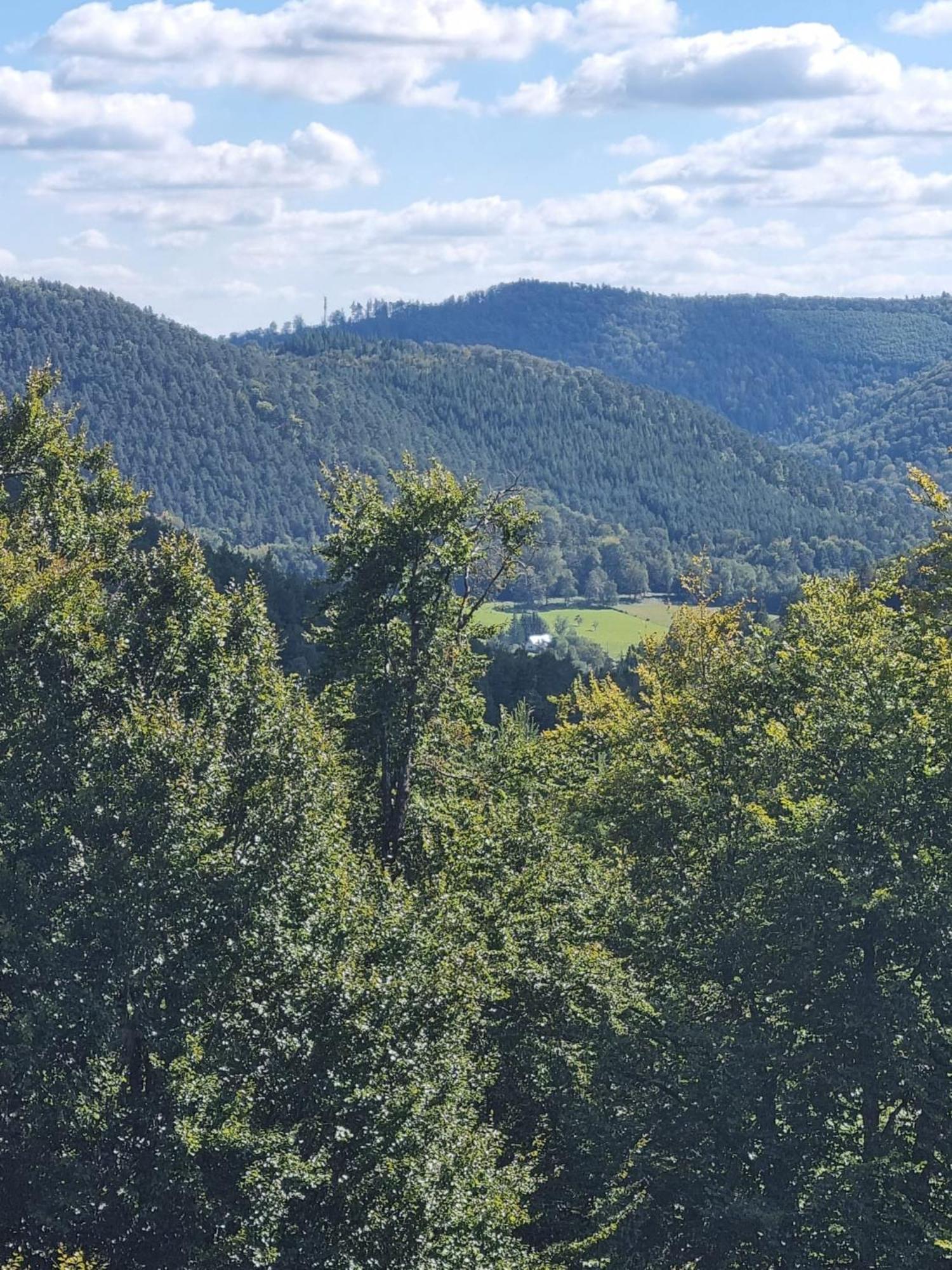 Le Wineck Βίλα Dambach Εξωτερικό φωτογραφία