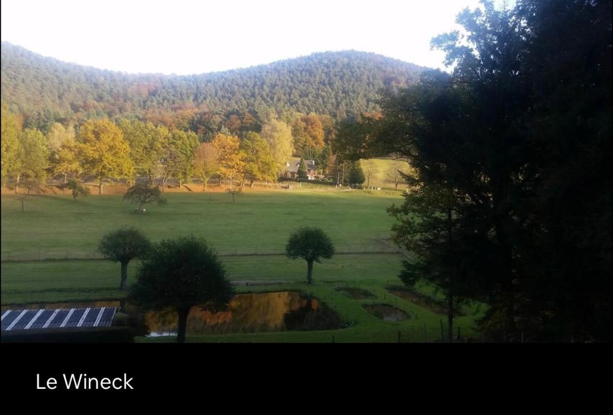 Le Wineck Βίλα Dambach Εξωτερικό φωτογραφία